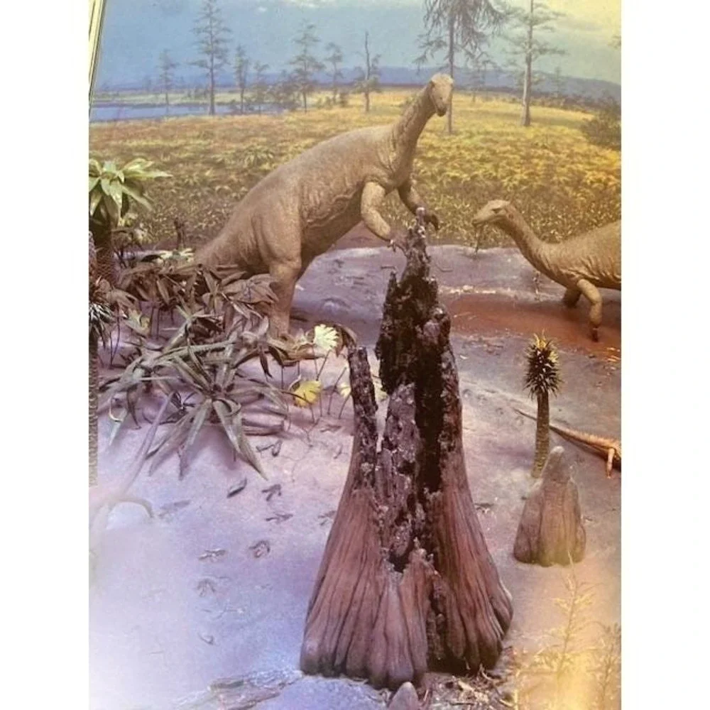 The National Museum of Natural History Smithsonian Philip Kopper Hardcover Book